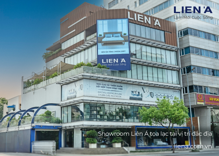showroom nệm tphcm