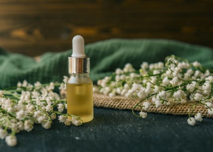 hoa linh lan trắng