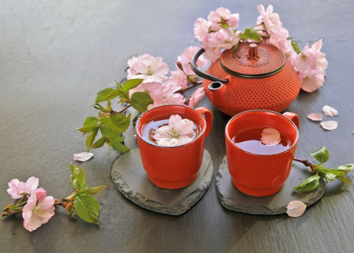 hoa đào nhật bản