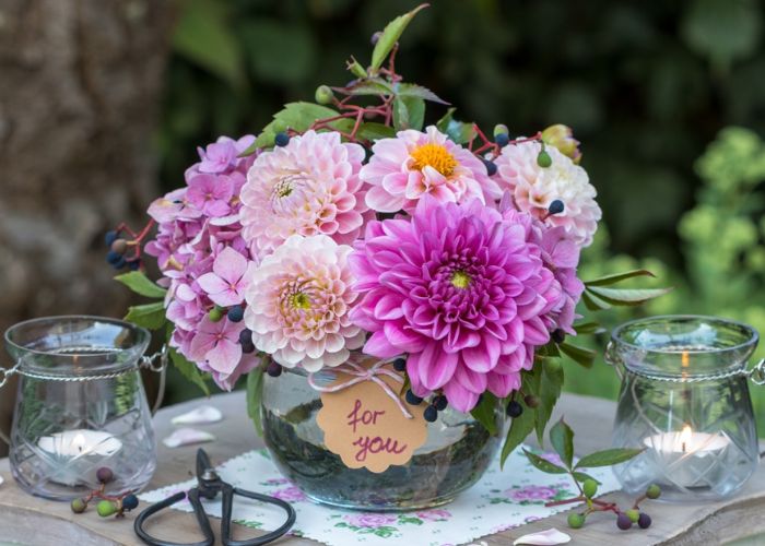 bông thược dược