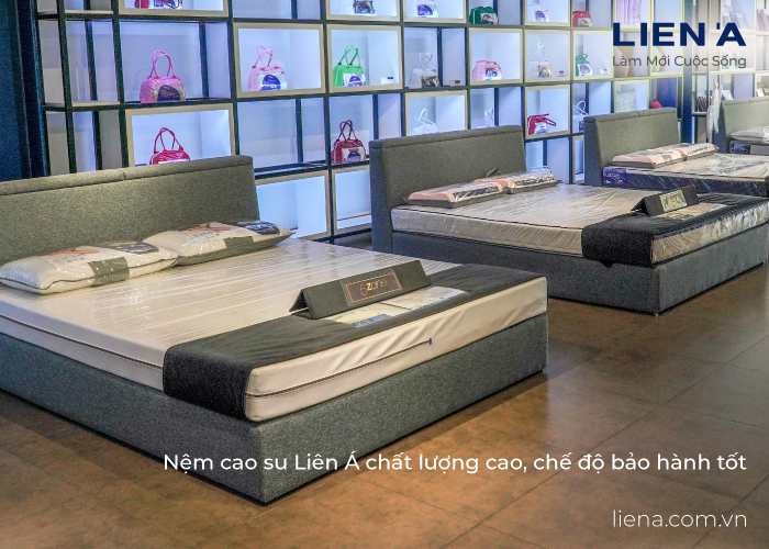 nệm cao su 3cm