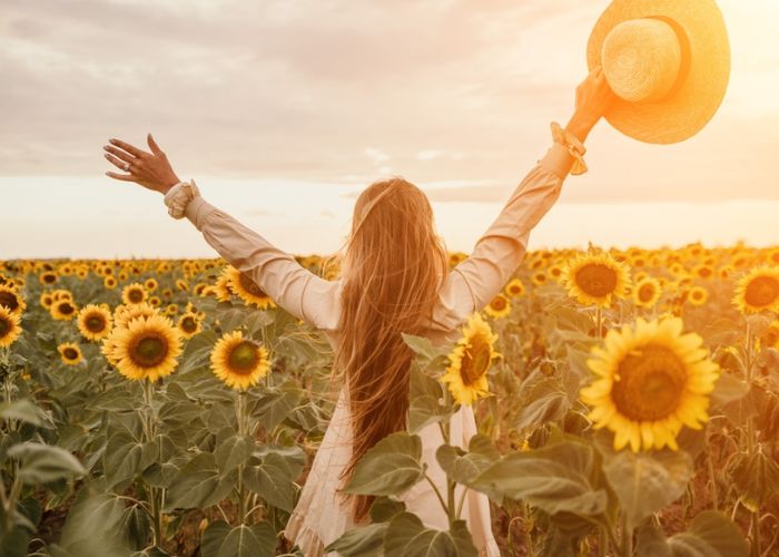 đặc điểm của hoa hướng dương