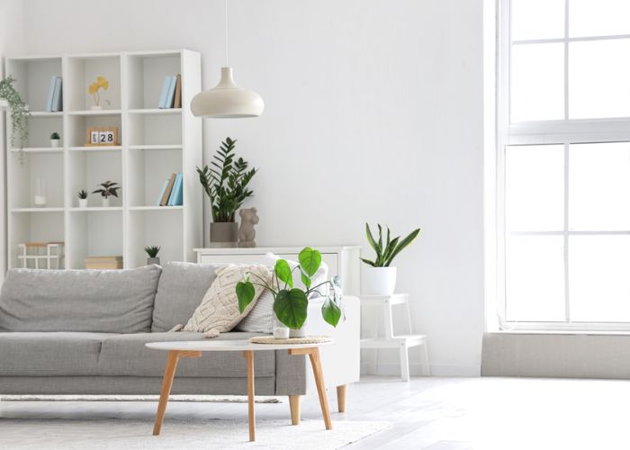 làm decor