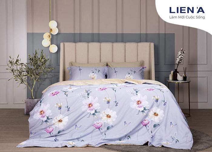 bộ drap cotton làm mới cuộc sống