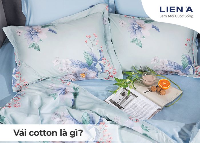 vải cotton là gì