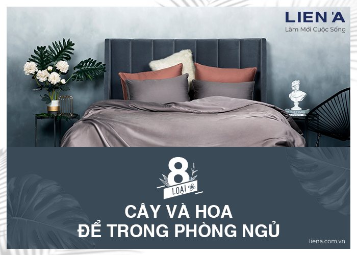 nên để hoa gì trong phòng ngủ