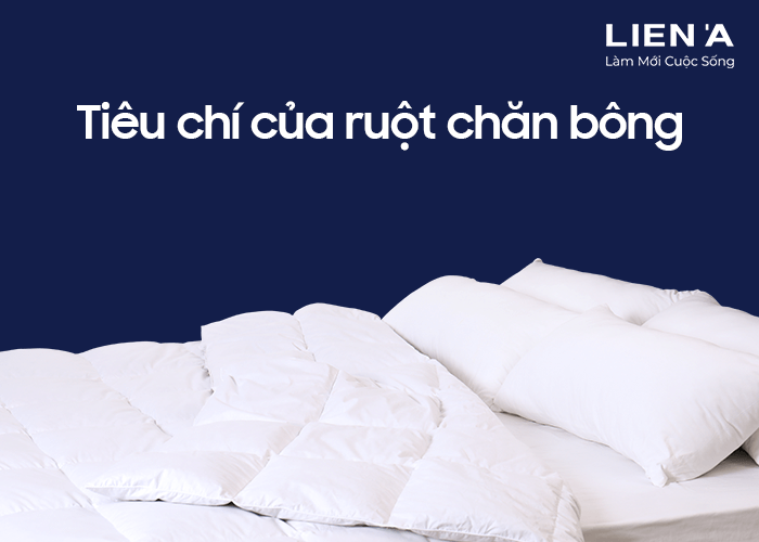 tiêu chí mua ruột chăn bông