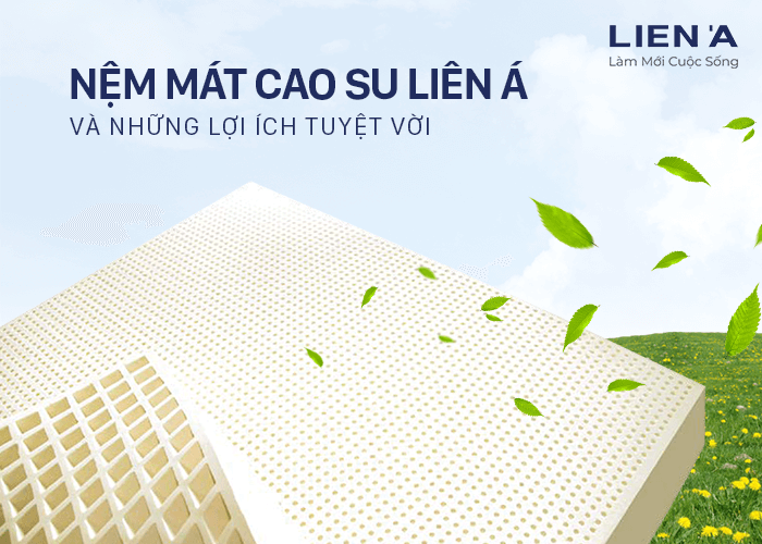 nệm mát cao su liên á