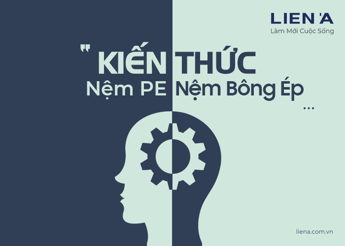 kiến thức về nệm pe và nệm bông ép