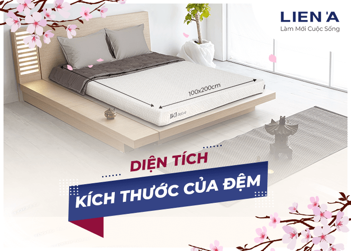 diện tích chăn ga gối đệm