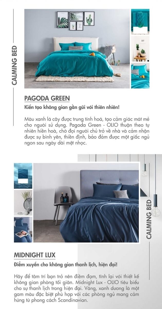 drap cotton satin là gì