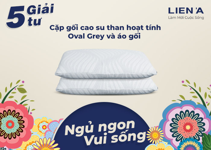 cặp gối oval than hoạt tính cao cấp