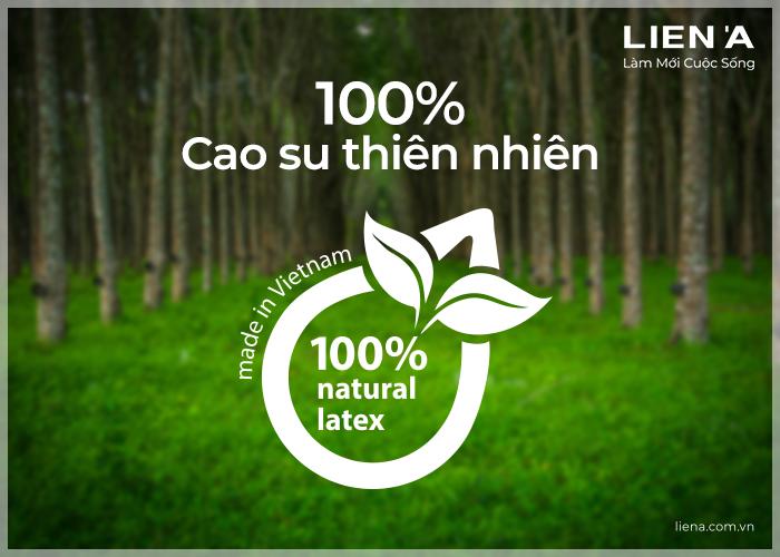 đánh giá nệm cao su