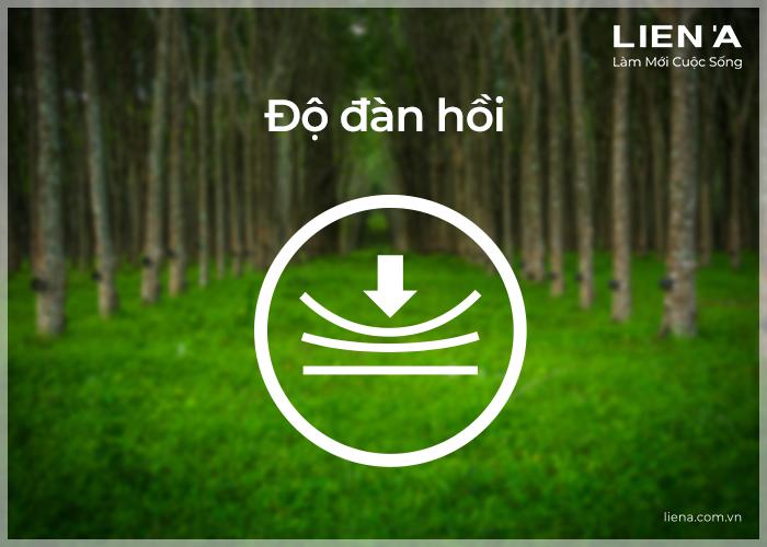 đánh giá nệm cao su tốt