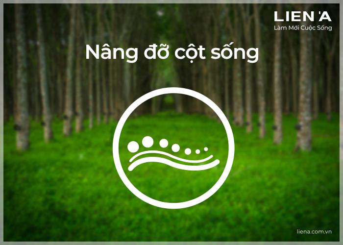 đánh giá nệm tốt