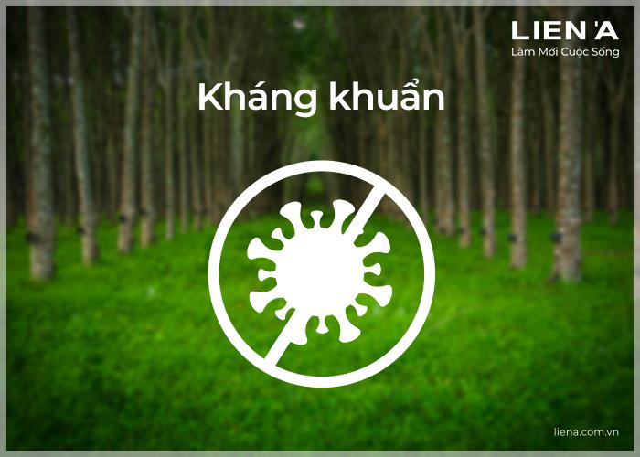 đánh giá nệm đạt tiêu chuẩn