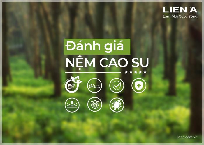 tiêu chí đánh giá nệm cao su