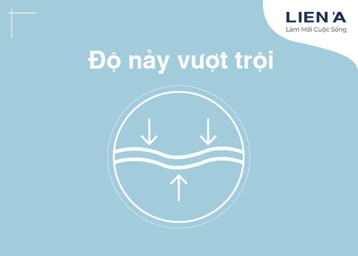 đệm lò xo cao cấp Liên Á