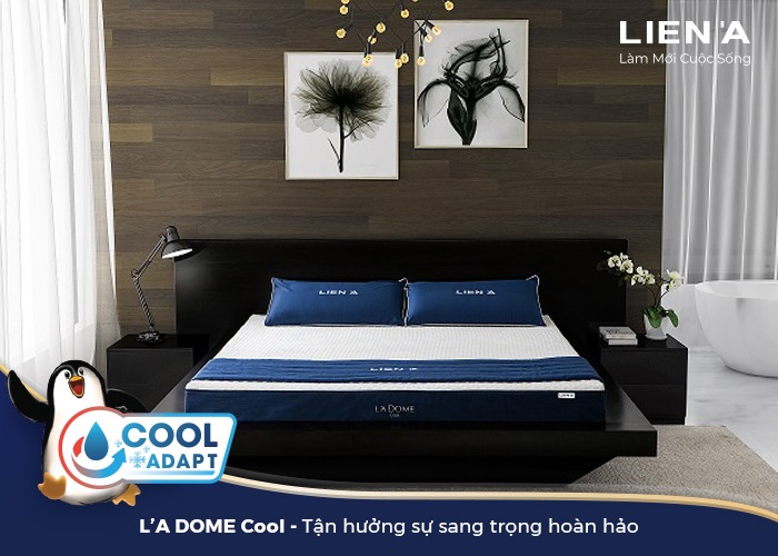 nệm mát ladome cool