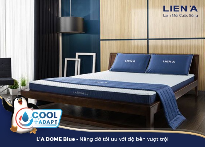 nệm mát La dome Blue