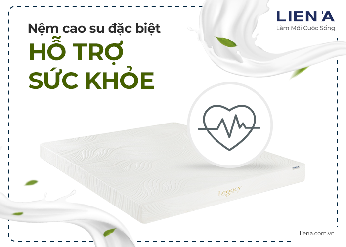 sự hỗ trợ đặc biệt từ nệm cao su thiên nhiên Liên Á